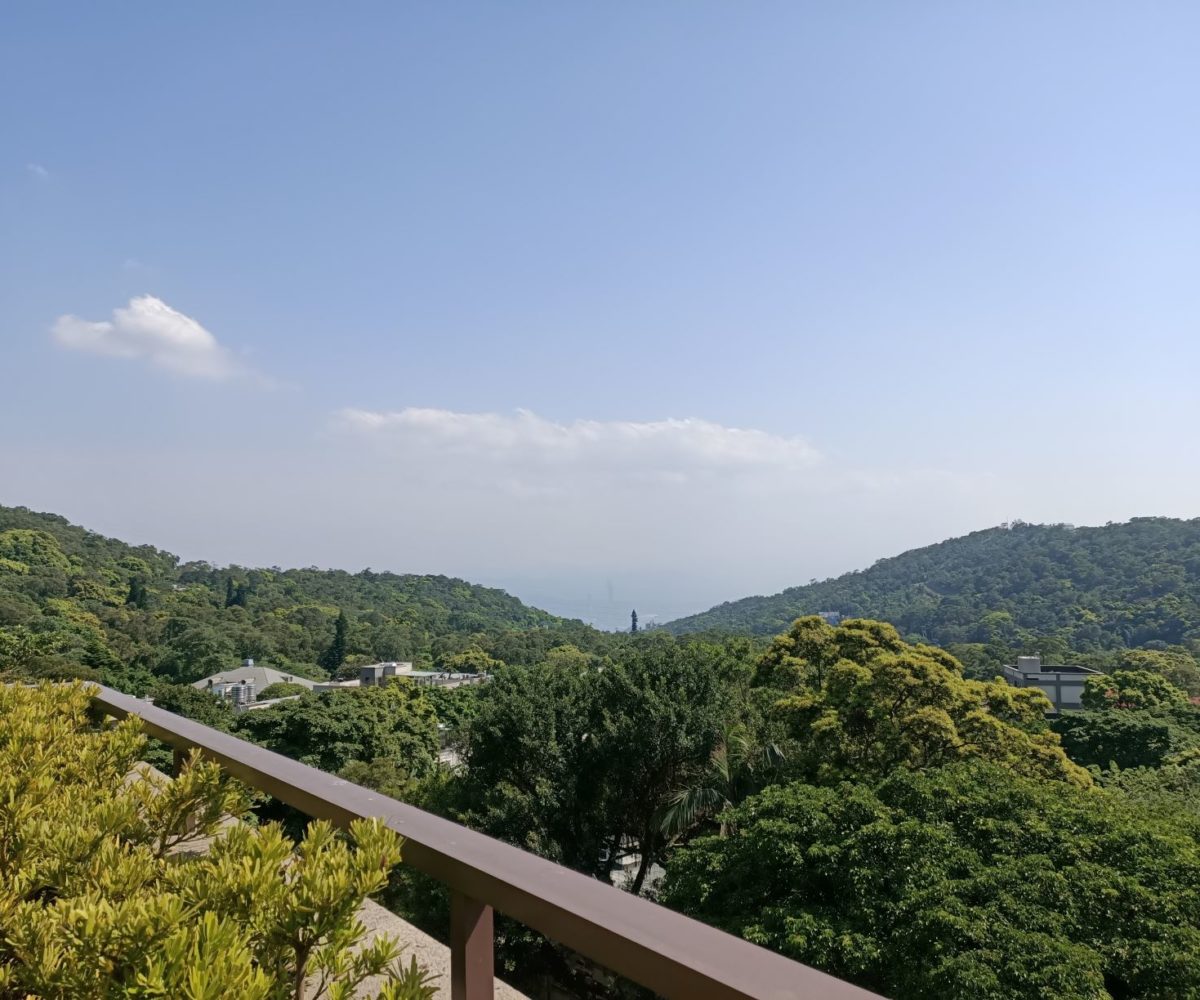 Taipei European School apartment rental-Rooftop View