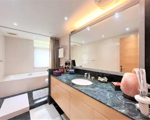 Taipei Xinyi Furnished 4 Bedroom Apartment_bathroom view-2