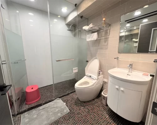 Taipei apartment rental Xinyi apartment-bathroom view 4