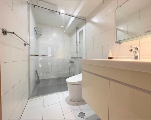 Taipei apartment rental Xinyi luxurious 4 bedroom apartment-bathroom view