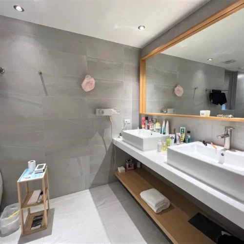 Taipei apartment rental luxurious Neihu apartment-bathroom-b_view